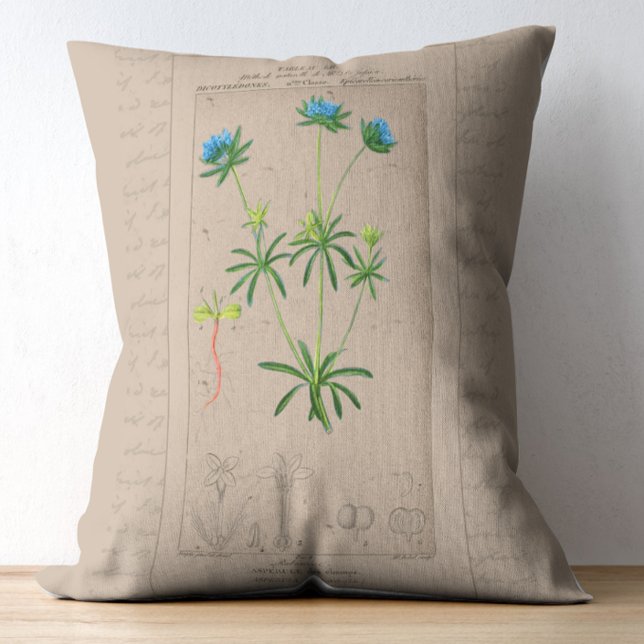 Franse botanische illustratie Blue Woodruff Accent Kussen (Creator heeft geüpload)