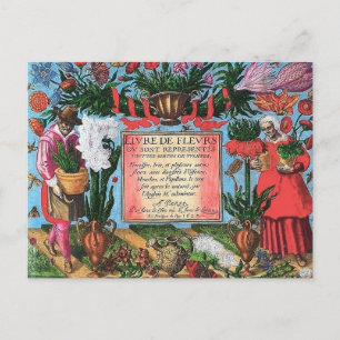 Franse botanische illustratie briefkaart