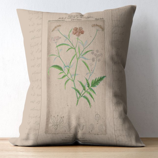 Franse botanische illustratie Hartwort Accent Kussen (Creator heeft geüpload)