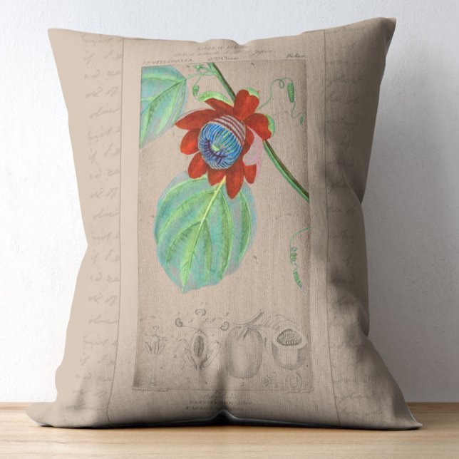 Franse botanische illustratie Passiebloem Accent Kussen (Creator heeft geüpload)