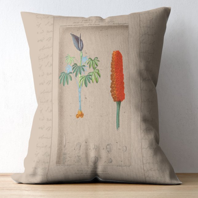 Franse botanische illustratie Snakelily Accent Kussen (Creator heeft geüpload)