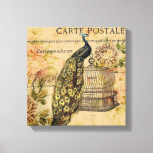 franse botanische kunst nouveau  pauw canvas afdruk