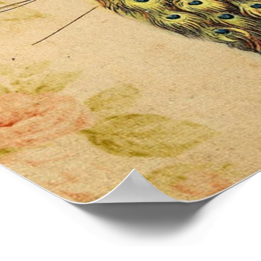 franse botanische kunst nouveau  pauw poster (Hoek)