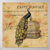 franse botanische kunst nouveau  pauw poster (Voorkant)