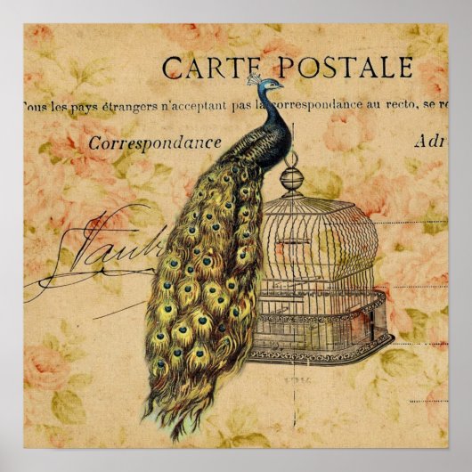 franse botanische kunst nouveau pauw poster (Voorkant)