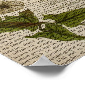 franse botanische overblijfselen moderne  libellen poster (Hoek)