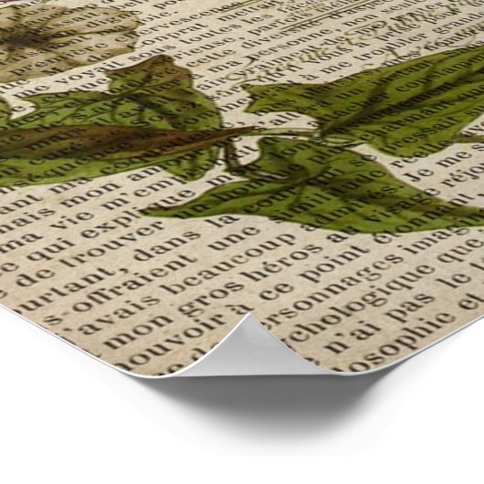 franse botanische overblijfselen moderne  libellen poster (Hoek)