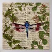 franse botanische overblijfselen moderne  libellen poster (Voorkant)