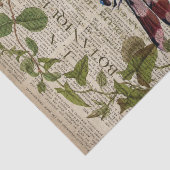 franse botanische overblijfselen moderne  libellen tissuepapier (Detail)