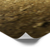 Franse Boules Poster (Hoek)