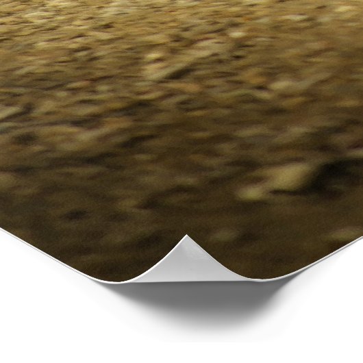 Franse Boules Poster (Hoek)