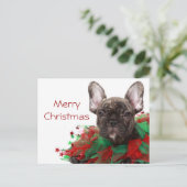 Franse buldog die de kraag van Kerstmis dragen Feestdagenkaart (Staand voorkant)