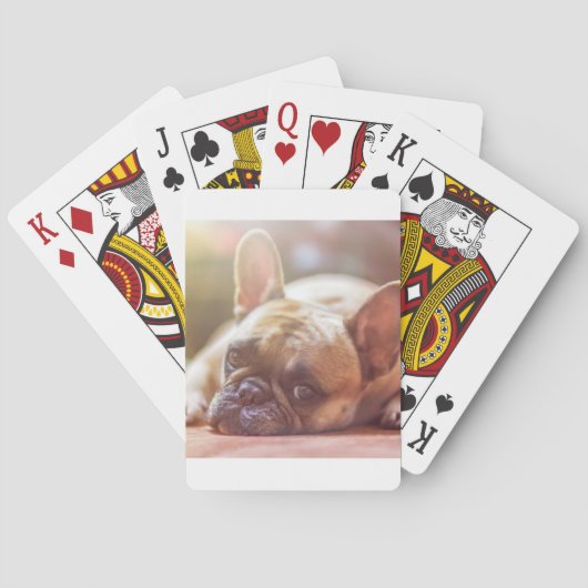 Franse buldog die ligt pokerkaarten (Achterkant)