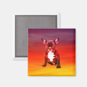 Franse buldog hond zitten op het strand magneet (Voorkant / Achterkant)