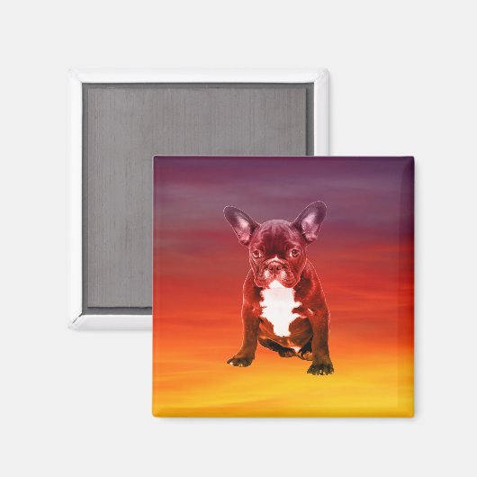 Franse buldog hond zitten op het strand magneet (Voorkant / Achterkant)