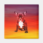 Franse buldog hond zitten op het strand magneet (Voorkant)