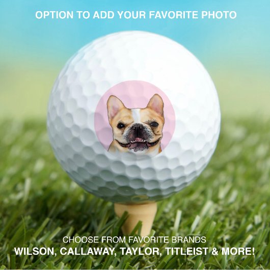 Franse buldog | Huisdier Hond Foto Modern Custom Golfballen