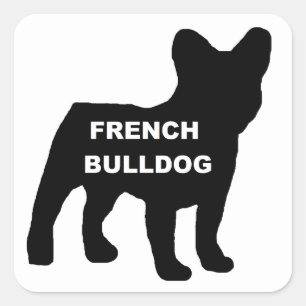 Franse buldog naam silhouet vierkante sticker