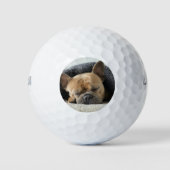 Franse buldog onder deken golfballen (Voorkant)