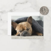 Franse buldog onder deken notitiekaartje (Voorkant / Achterkant in situ)