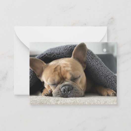 Franse buldog onder deken notitiekaartje (Voorkant)