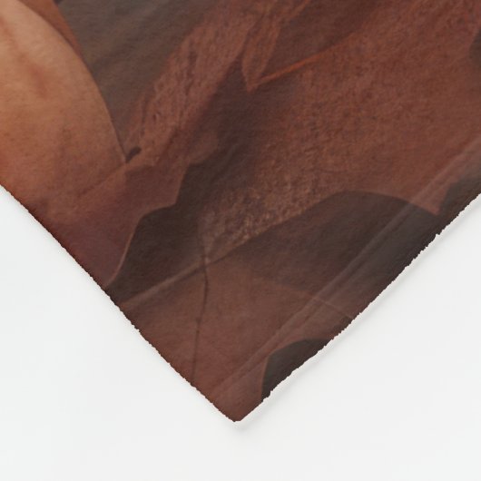 Franse buldog puppy herfst verrukking pompoen fleece deken (Hoek)