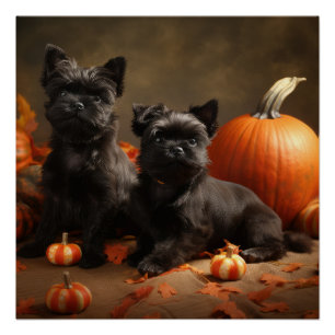 Franse buldog puppy herfst verrukking pompoen perfect poster
