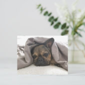 FRANSE BULDOG RUSTEN RELAXEN POSTCROSSING BRIEFKAART (Staand voorkant)