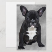 Franse buldog zittende Waterverf olieverfschilderi Briefpapier (Voorkant / Achterkant)