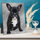 Franse buldog zittende Waterverf olieverfschilderi Fotoplaat (Zijkant)