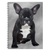 Franse buldog zittende Waterverf olieverfschilderi Notitieboek (Voorkant)