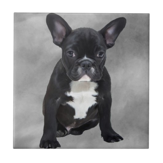Franse buldog zittende Waterverf olieverfschilderi Tegeltje (Voorkant)