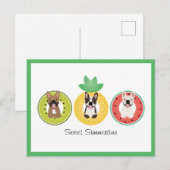 Franse bulgdogs in vruchtendrukvloeren briefkaart (Voorkant / Achterkant)