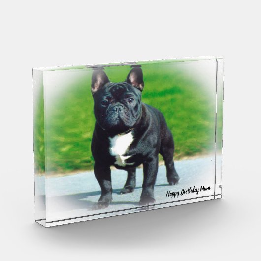 Franse Bull Dog Fotoblokken (Links)