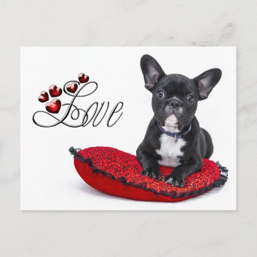 Franse Bull Dog - Frenchie - Love Briefkaart (Voorkant)