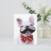 Franse bull dog puppy met snor briefkaart (Staand voorkant)
