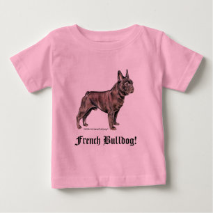 Franse Bulldog!