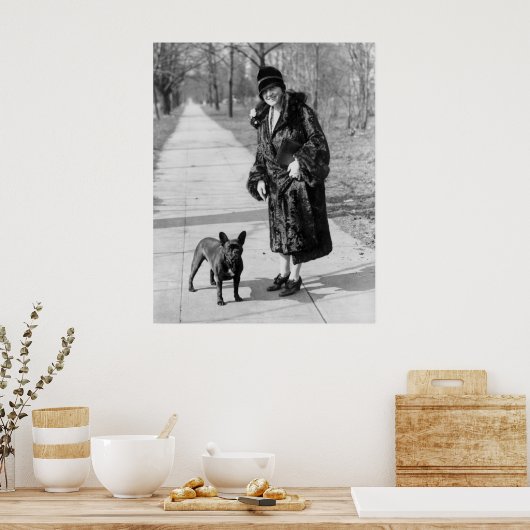 Franse Bulldog, 1920 Poster (Keuken)