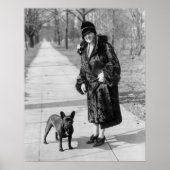 Franse Bulldog, 1920 Poster (Voorkant)