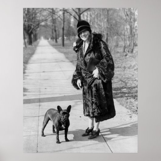 Franse Bulldog, 1920 Poster (Voorkant)