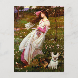 Franse Bulldog 1 - Windflowers Briefkaart