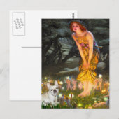 Franse Bulldog 3 - MidEve Briefkaart (Voorkant / Achterkant)