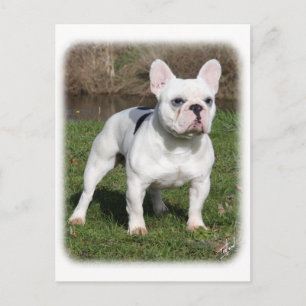 Franse Bulldog 9Y202D-134 Briefkaart