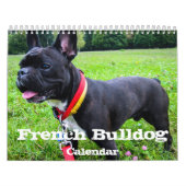 Franse Bulldog aangepaste kalender Voeg huisdier f (Hoes)