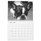 Franse Bulldog aangepaste kalender Voeg huisdier f (Mar 2017)