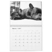 Franse Bulldog aangepaste kalender Voeg huisdier f (Feb 2017)