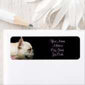 Franse Bulldog adresetiketten Etiket (Insitu)