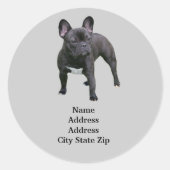 Franse Bulldog adreslabel Ronde Sticker (Voorkant)