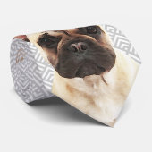 Franse Bulldog afspelen Stropdas (Opgerold)