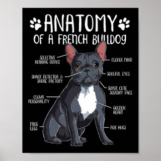 Franse Bulldog Anatomie Frenchie Hondenliefhebber  Poster